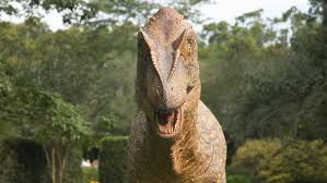 Image result for Go Ballistic Laser Combat Kidderminster