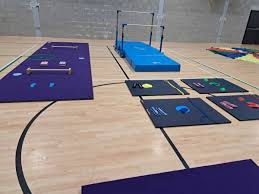 Image result for City Of Salford Gymnastics Club