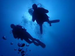 Image result for Bedford Scuba Divers