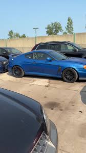 Image result for tuscani tibu...start=0