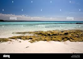 Image result for Scottish Rocks