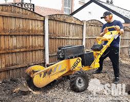 Image result for Northwich Predators