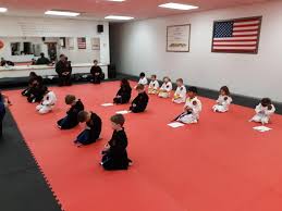 Image result for Hidden Dragon Karate-Do