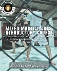 Image result for St Neots Muay Thai