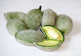 Image result for fresh green almonds