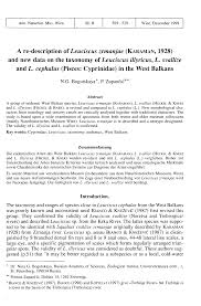 Image result for Squalius cephalus cavedanus