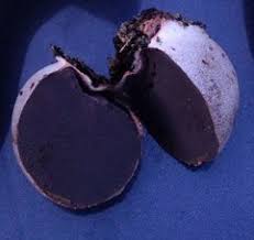 Attēlu rezultāti vaicājumam “Lycogala asperum”