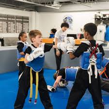 Image result for Skillz Martial Arts
