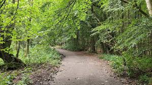 Image result for Lennox Castle Bowling Club