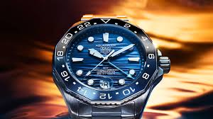 Image result for GMT watch