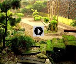 Image result for Tora Dojo