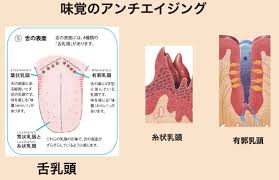 「烏頭みこと」の画像検索結果