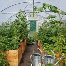 Image result for Lochee Bowling Club