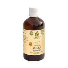 Attēlu rezultāti vaicājumam “Allium ursinum fruit”