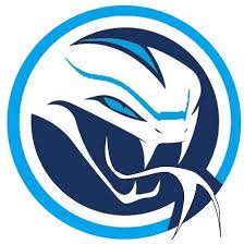 Image result for Sidewinders Baseball Club