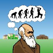 Image result for Downe Cricket Club