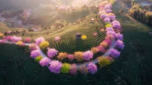 Image result for 2003早春