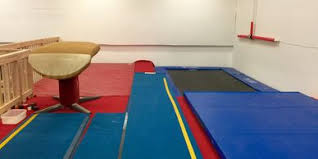 Image result for Crossway Gymnastic Centre