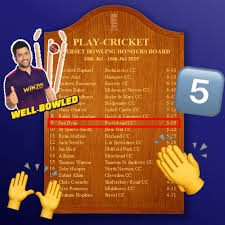 Image result for Portishead Cricket Club