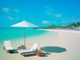http://t0.gstatic.com/images?q=tbn:ANd9GcQQU-M5w0FBs5CTVI_1rJI5HUs58WIYvXvkh-4rvnYuMo_DV-QiDQ