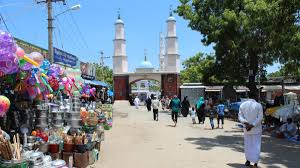 Image result for Erwadi