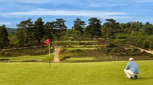 Image result for Hankley Common Golf Club