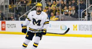 Image result for York University Street Hockey Club