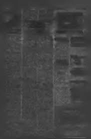 Image result for hallcross jfc