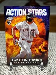 Image result for Boston Asc