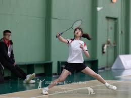 Image result for Silverleigh Junior Badminton Club