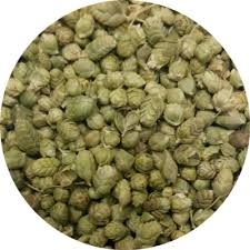 Attēlu rezultāti vaicājumam “Origanum vulgare bud”