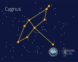 Attēlu rezultāti vaicājumam “Cygnus”