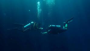 Image result for Dive Crew Scuba Diving