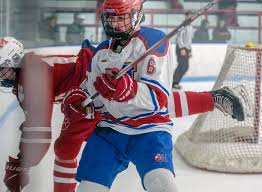 Image result for New Milton Hockey Club