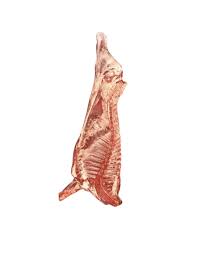 Image result for media res