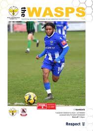 Image result for East Grinstead Town Football Club