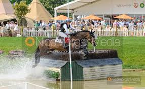 Image result for Greenacre Badminton Club