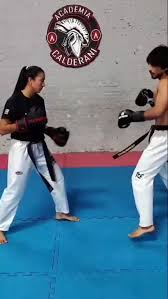 Image result for COMBAT TAEKWONDO