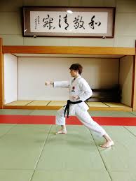 Image result for enpi dojo
