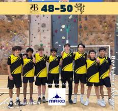 Image result for maiden Erlegh Subbuteo Club