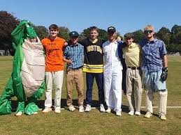 Image result for West Chiltington & Thakeham Cc