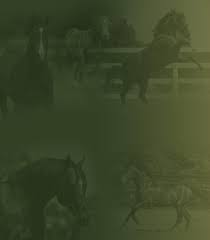 Image result for Bletchingly Badminton Club