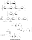 Key Resources: Carbohydrate Analysis