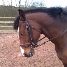 Image result for Beckwithshaw Badminton Club