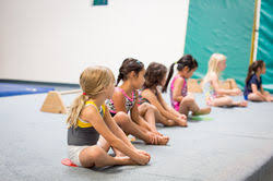 Image result for Monarchs Sports Acrobatics Club