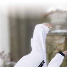 Image result for John Godwin's Hamilton Martial Arts