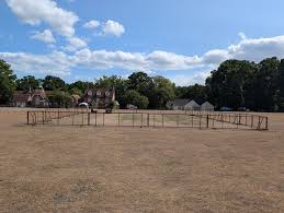 Image result for Redlynch and Hale Cricket Club