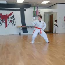 Image result for Twyford Higashi Karate Club