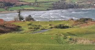 Image result for Cardigan Golf Club