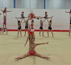 Image result for Harnham Gymnastics Club